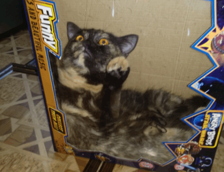 codes error rcsdassk