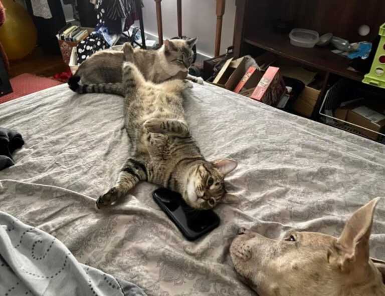 gaming hacks tgageeks