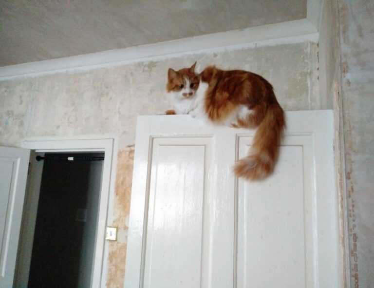 gaming tutorials tgageeks