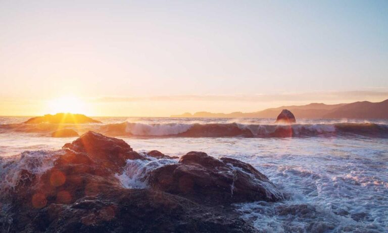 sofware doxfore5 dying