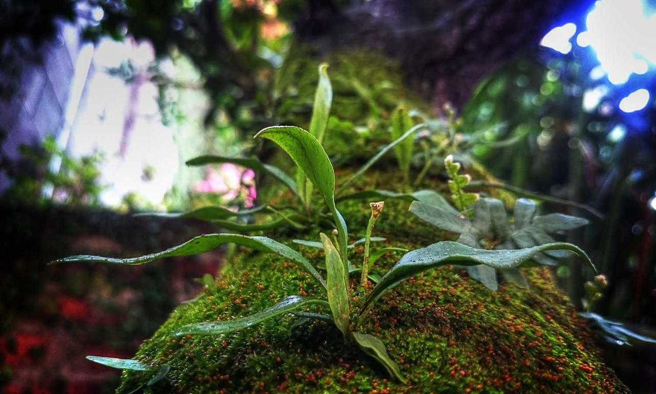 tgageeks gaming news from thegamearchives