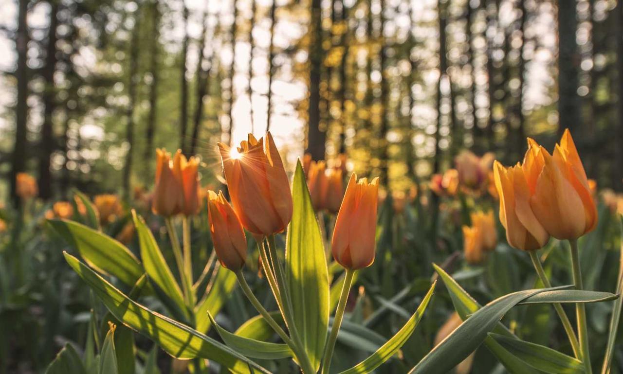 update munjoff1445 mods