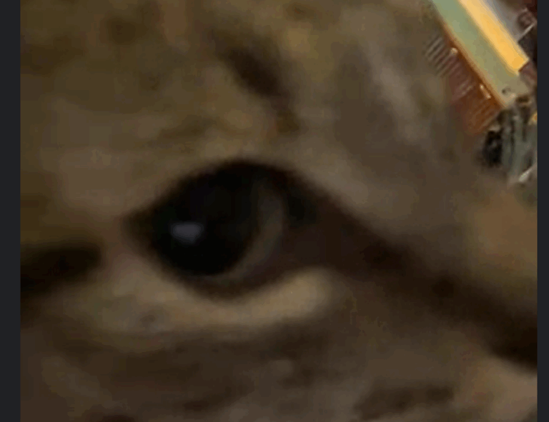 zenvekeypo4 software