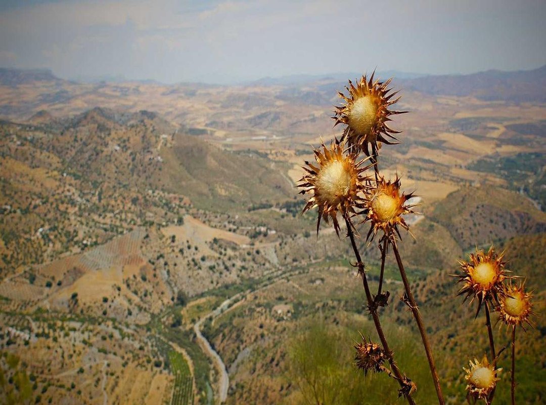 Bringing the Fight to the Ballroom: Nickels' Unforgettable Mark on Bridgerton