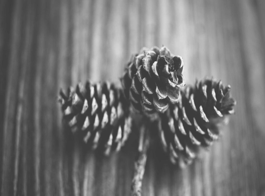 The Unforgettable Chemistry: What Makes Seyran and Ferit Work