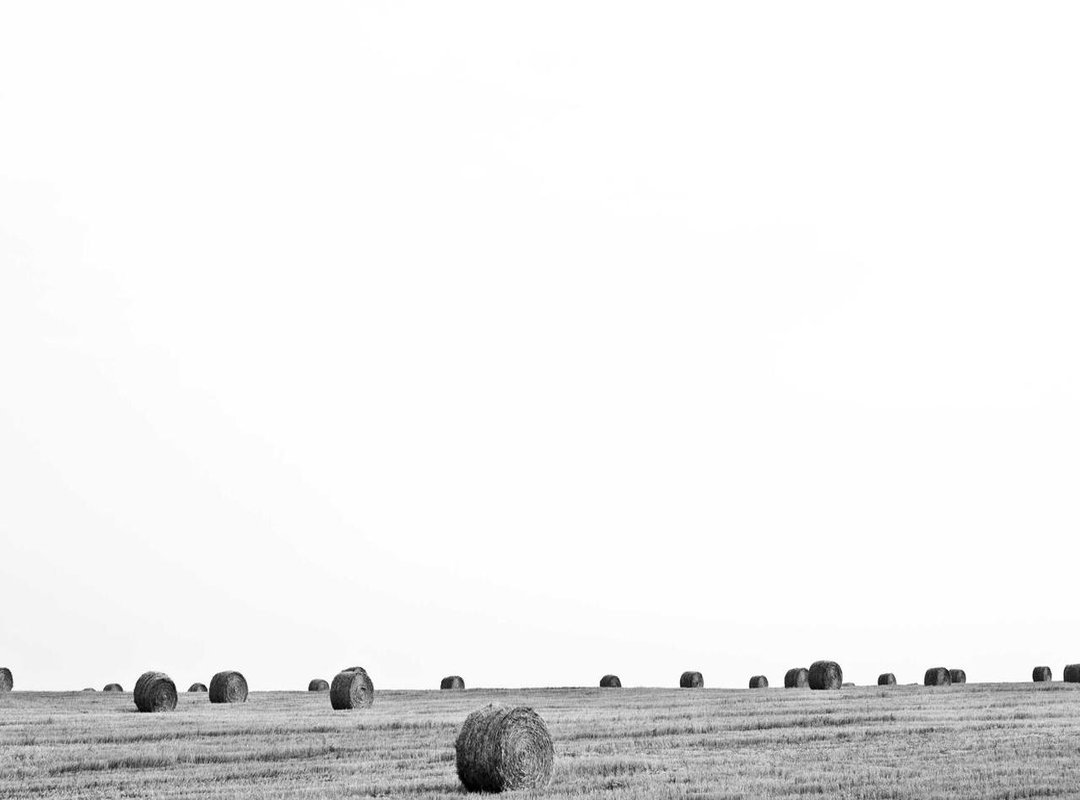 A Practical Guide: Creating Your Own Gardevoir Backshot