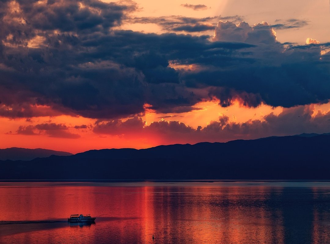 Explore More Characters from the Game