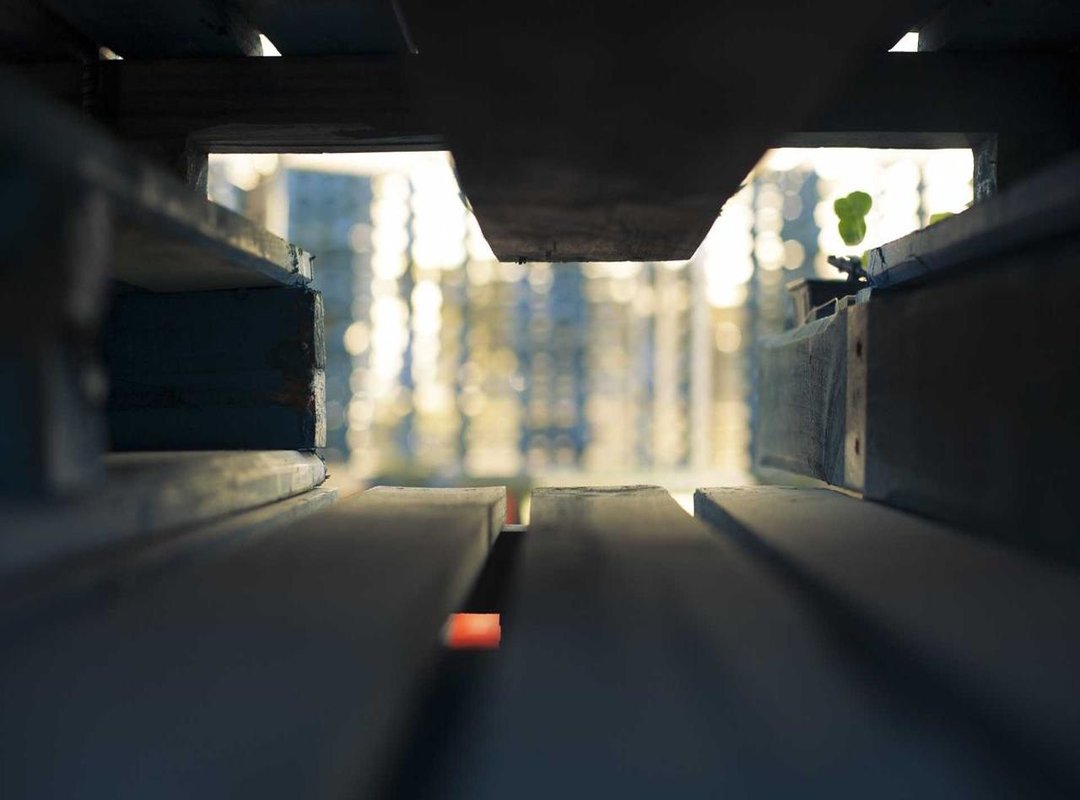 Top Picks: Best Nido Milk Products at Continente