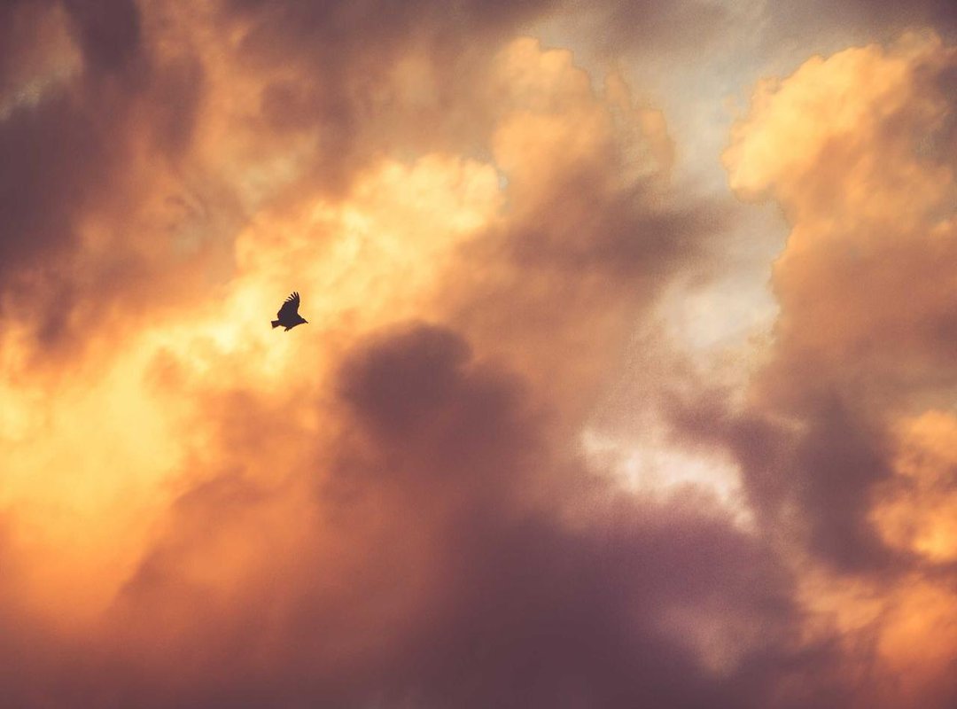 Pivotal Moments: Bato's Impact on the Plot