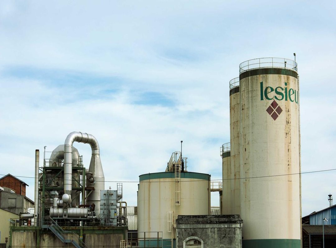 Visual Breakdown: Common Designs and Inscriptions